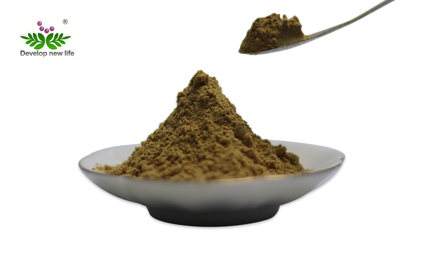 Lion'S Mane Extract Powder